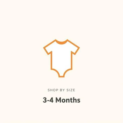 3-6 Months